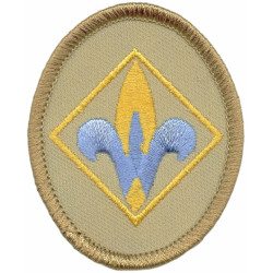 $50 Webelo Level Donation...